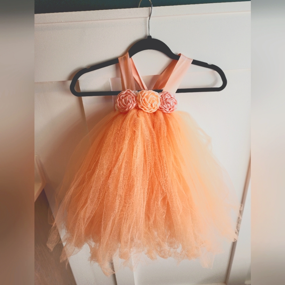 Girls Tutu flower girl/fairy dress